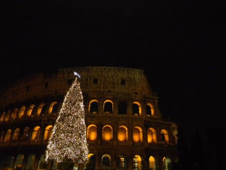 239-Roma_2011-339.JPG.medium.jpeg