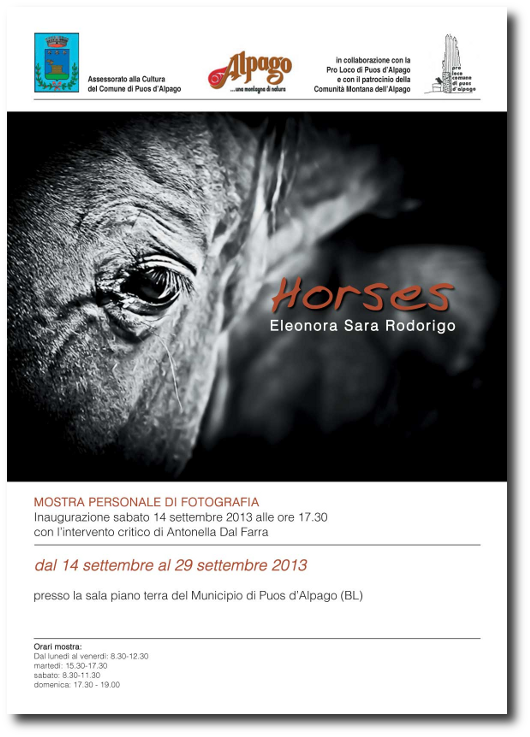 Horses_Eleonora_Sara_Rodorigo