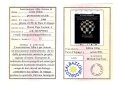 007-007-pag8stampa_alba azione di gioia.jpg.small.jpeg