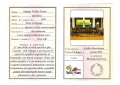 009-009-pag10stampa_alpago volley team.jpg.small.jpeg