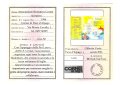 015-015-pag16stampa_associazione ricreativa cornei.jpg.small.jpeg