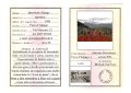 034-034-pag35stampa_sporteam alpago.jpg.small.jpeg