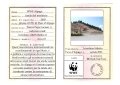 037-037-pag38stampa_wwf alpago.jpg.small.jpeg